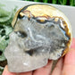 Volcanic Agate Quartz Skull UV Reactive Healing Crystal Carving 432g