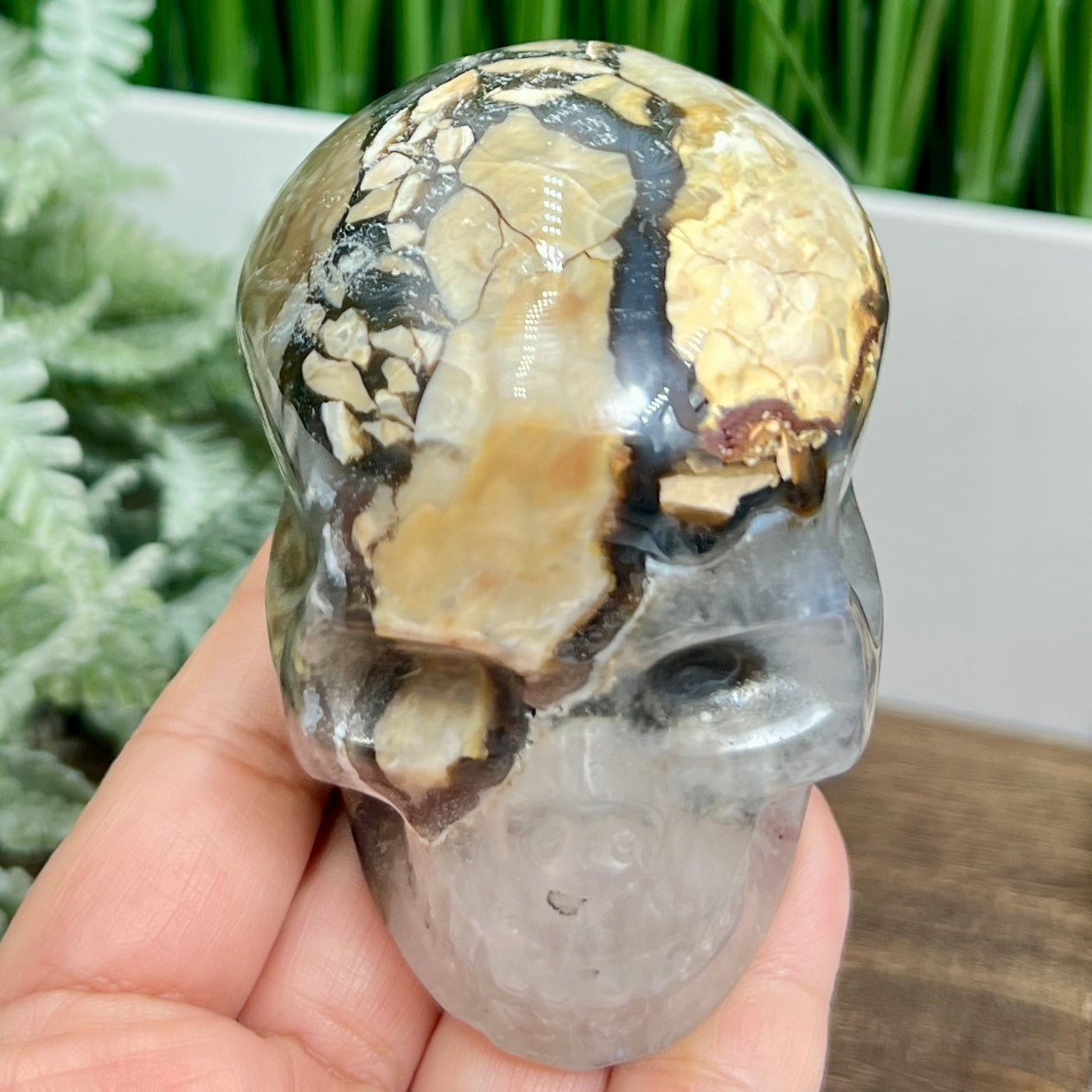 Volcanic Agate Quartz Skull UV Reactive Healing Crystal Carving 432g