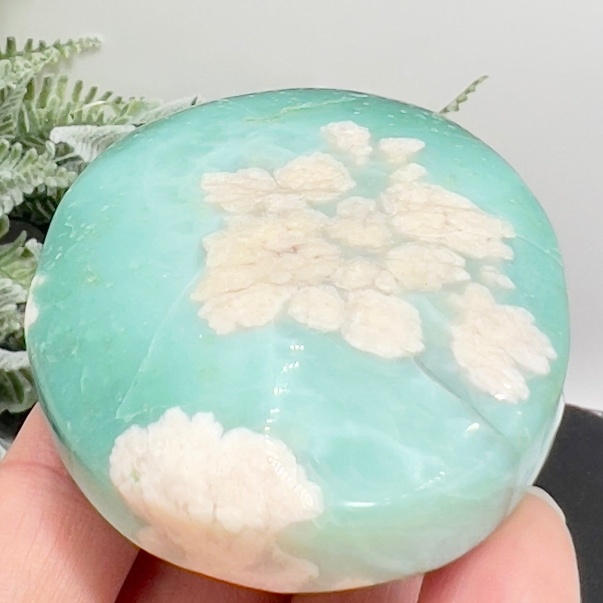 Green Flower Agate Sakura Rare Large Palm Stone Meditation Crystal 112g