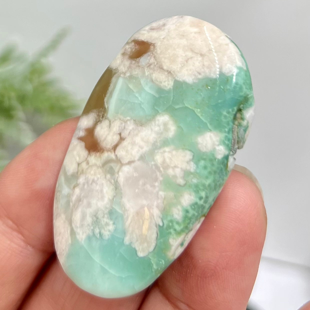 Green Flower Agate Sakura Rare Palm Stone Meditation Crystal 22g