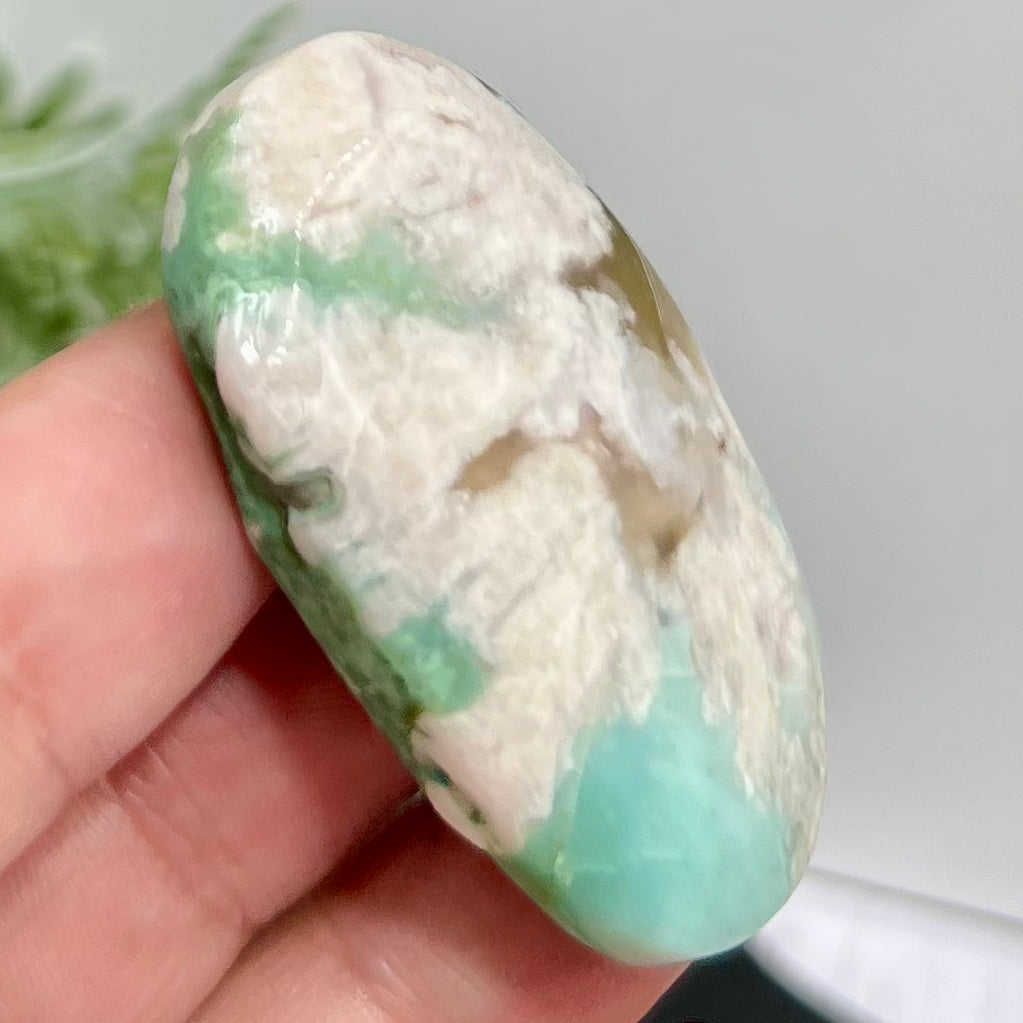 Green Flower Agate Sakura Rare Palm Stone Meditation Crystal 22g