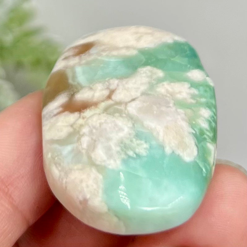 Green Flower Agate Sakura Rare Palm Stone Meditation Crystal 22g