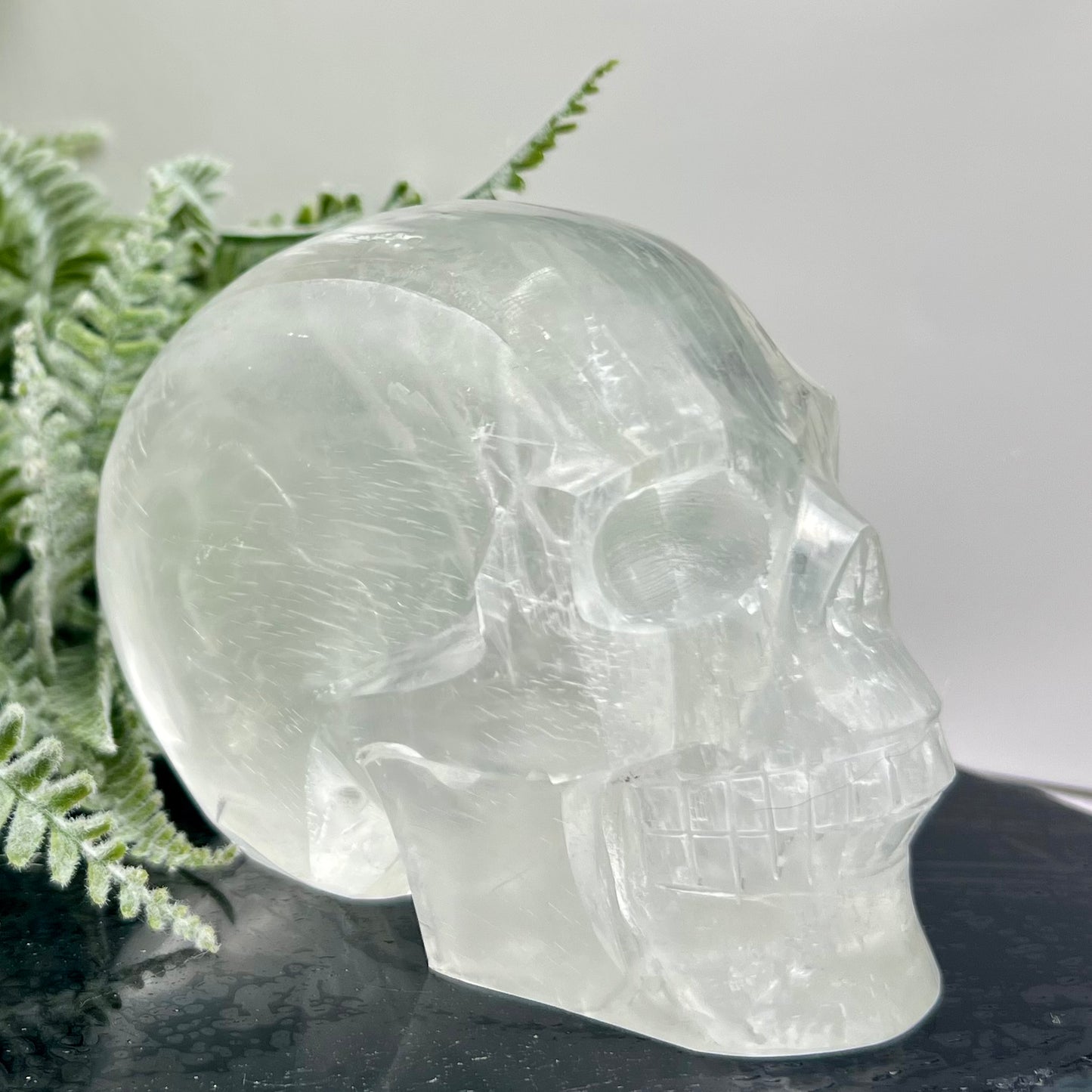 Satin Spar Selenite Skull Top Quality Translucent Crystal Carving Morocco 744g