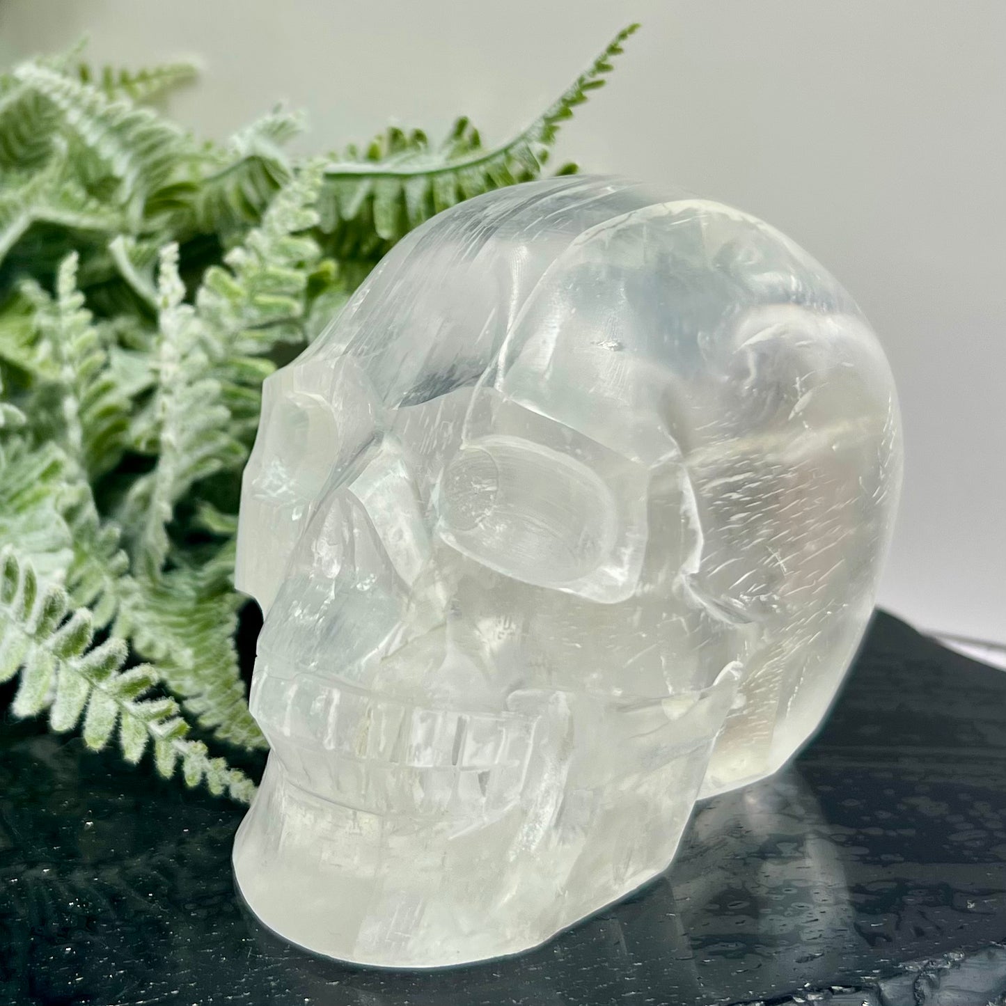 Satin Spar Selenite Skull Top Quality Translucent Crystal Carving Morocco 744g