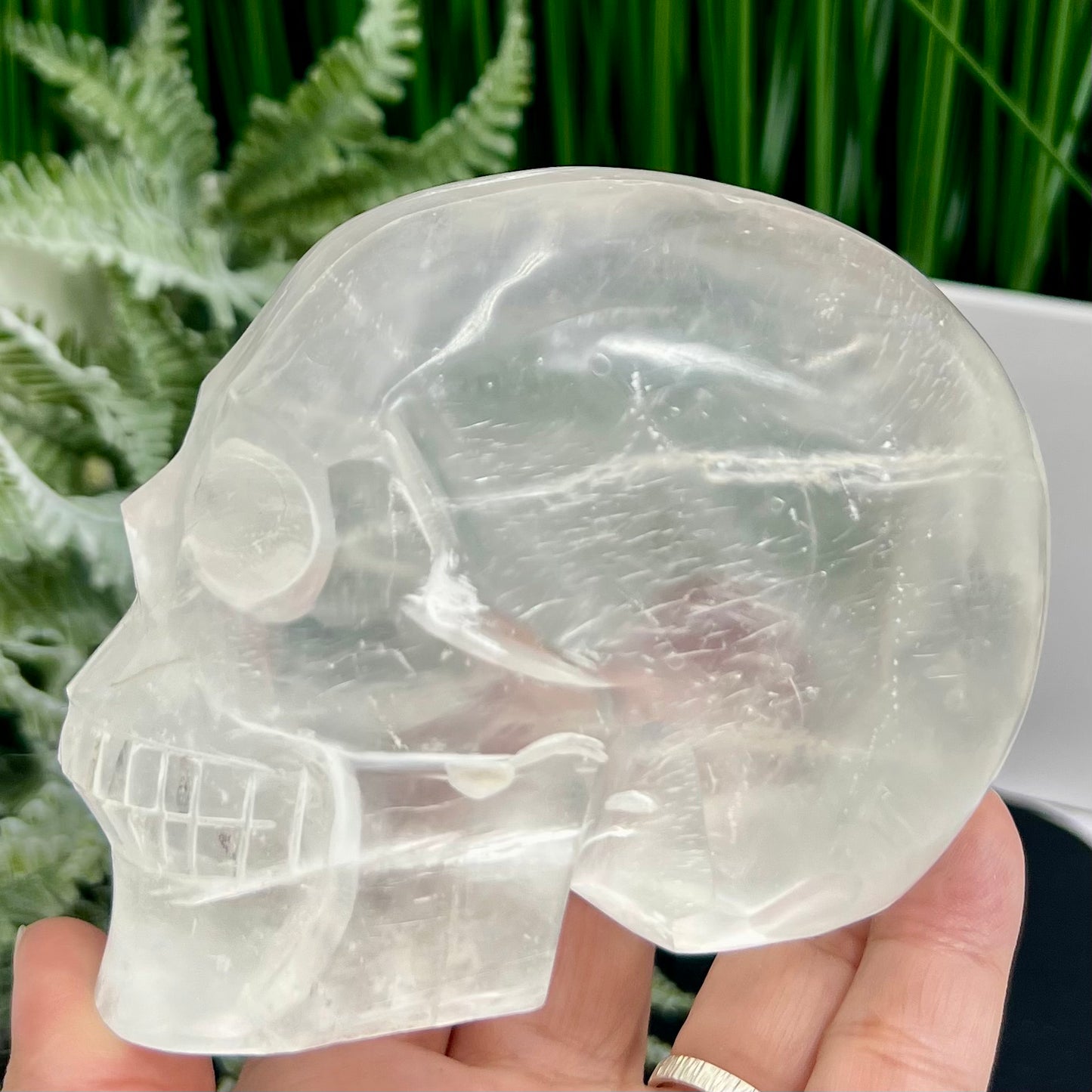 Satin Spar Selenite Skull Top Quality Translucent Crystal Carving Morocco 744g