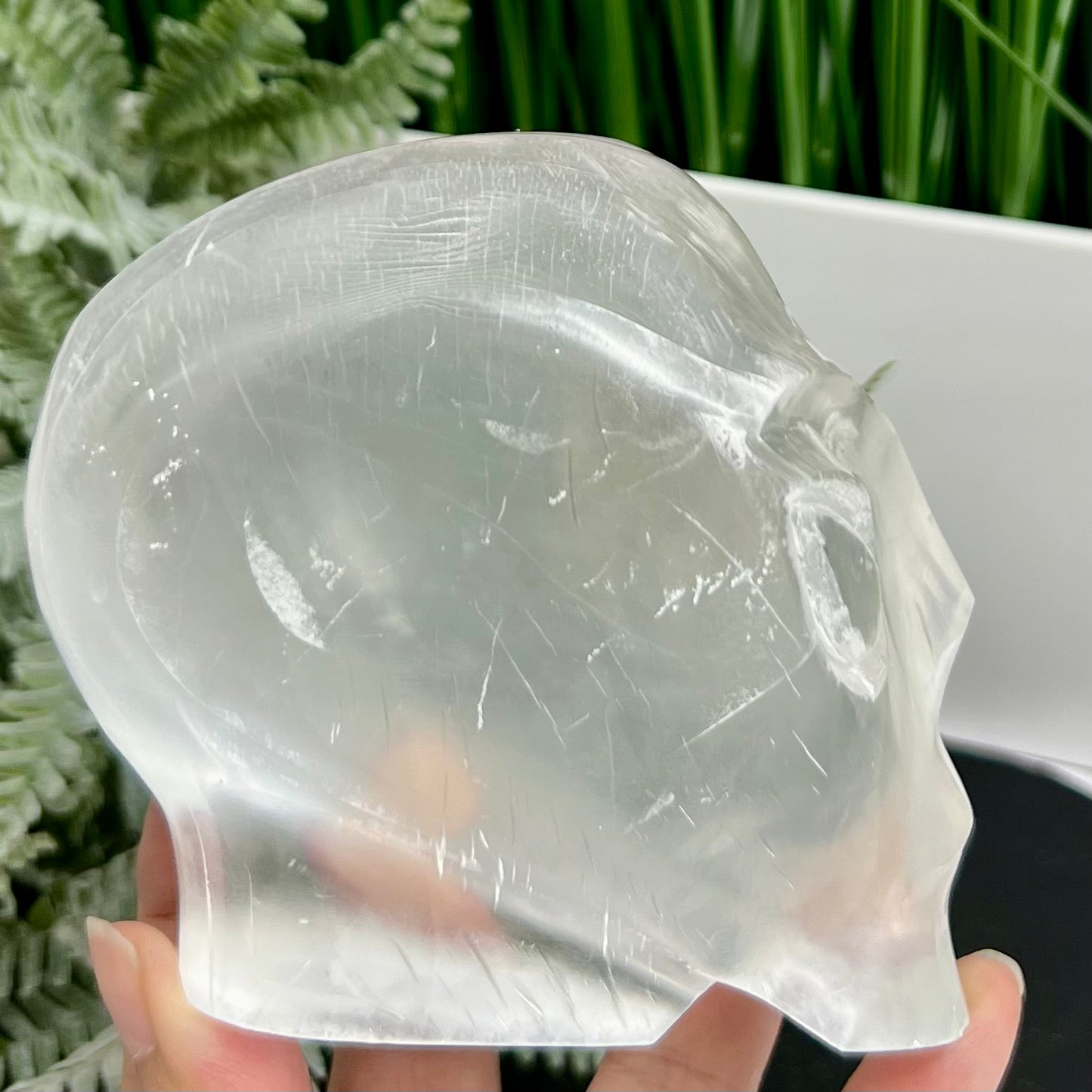 Satin Spar Selenite Alien Skull Top Quality Translucent Crystal Morocco 980g