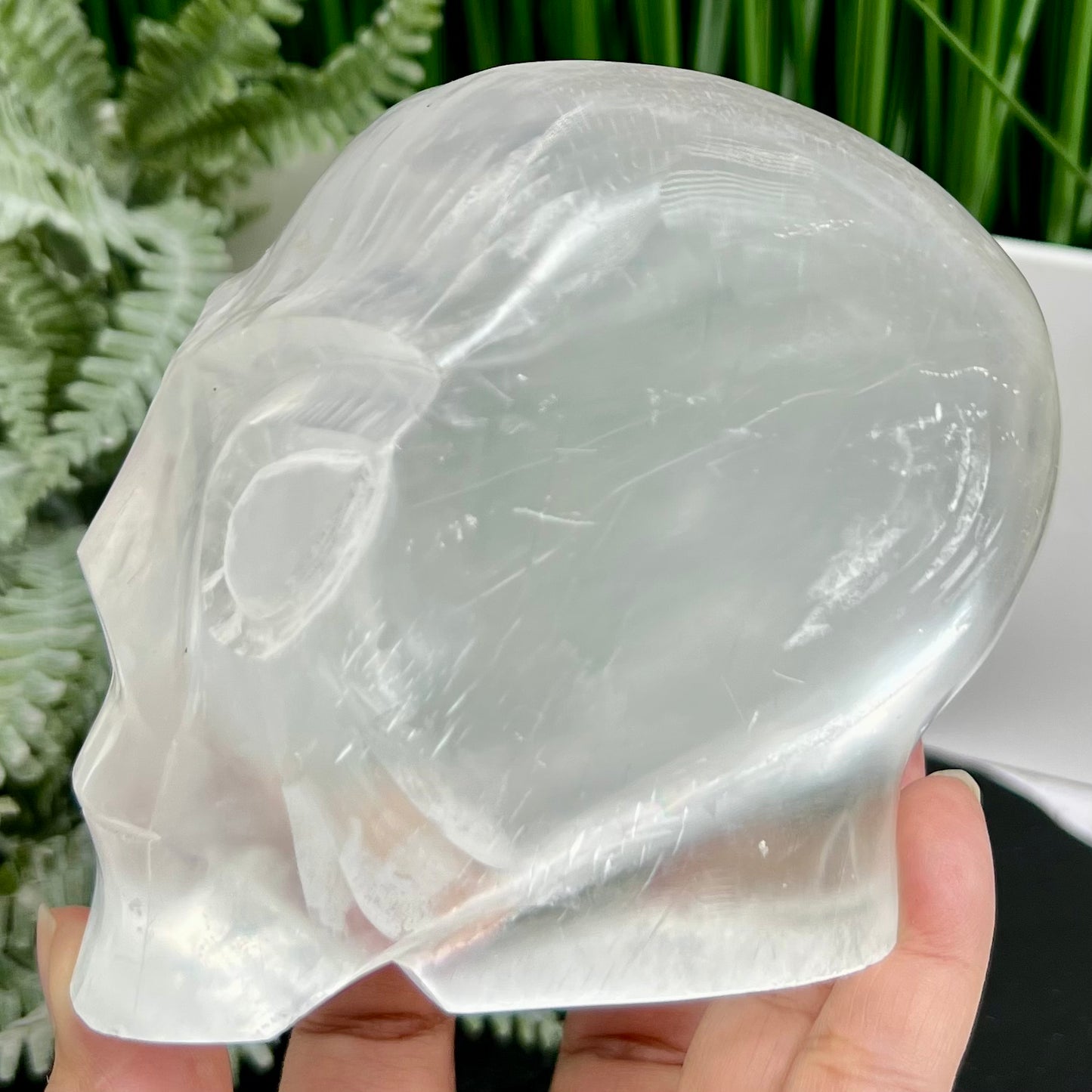 Satin Spar Selenite Alien Skull Top Quality Translucent Crystal Morocco 980g