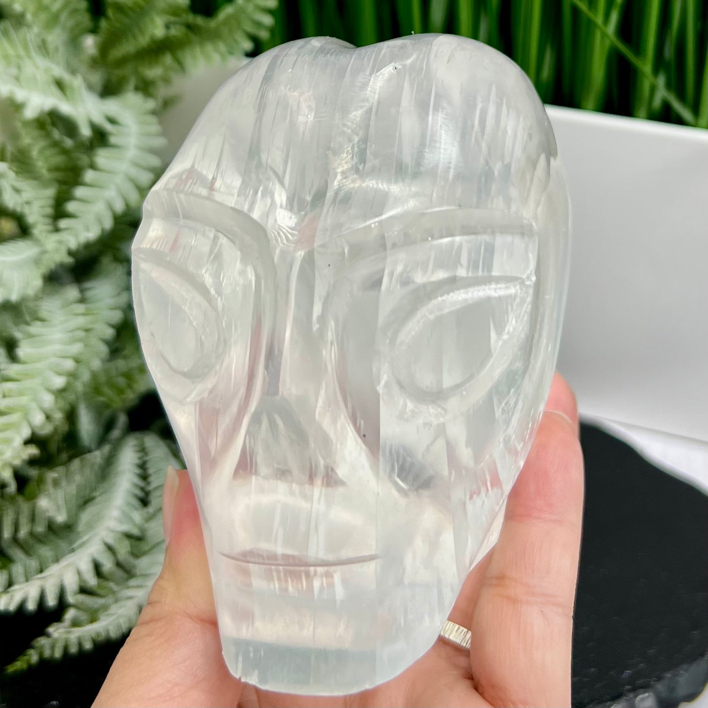 Satin Spar Selenite Alien Skull Top Quality Translucent Crystal Morocco 980g