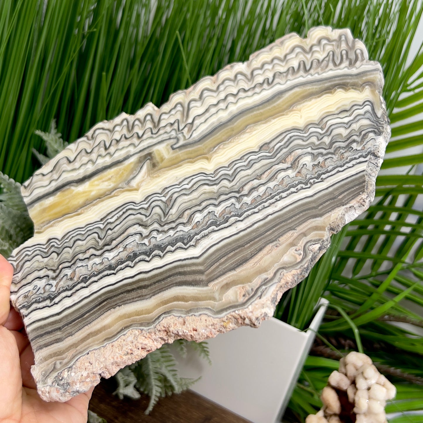 Zebra Phantom Calcite Slice Healing Crystal Specimen Slab 572g