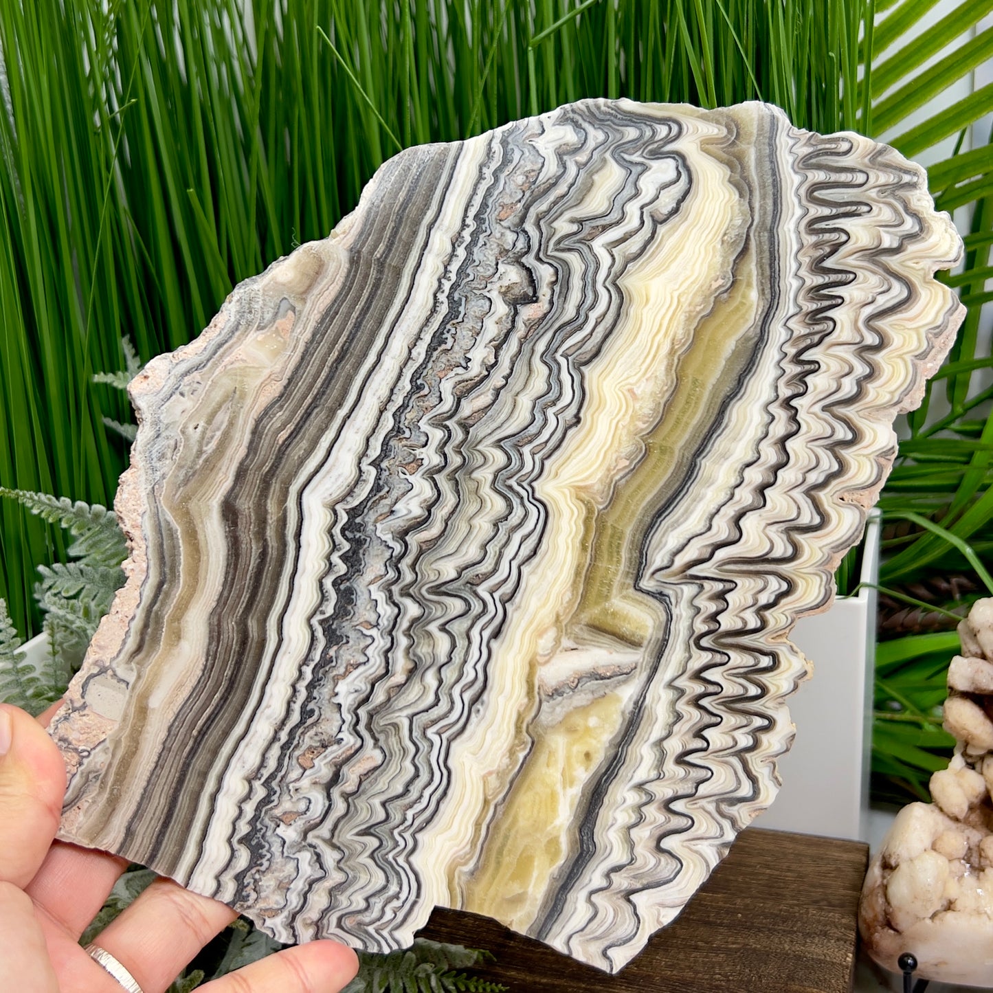 Zebra Phantom Calcite Slice Healing Crystal Specimen Slab 572g