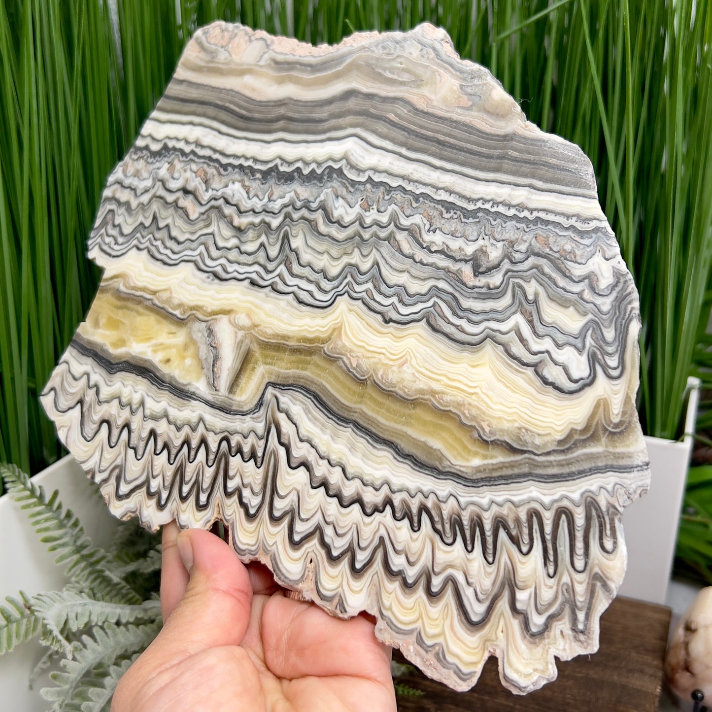 Zebra Phantom Calcite Slice Healing Crystal Specimen Slab 572g