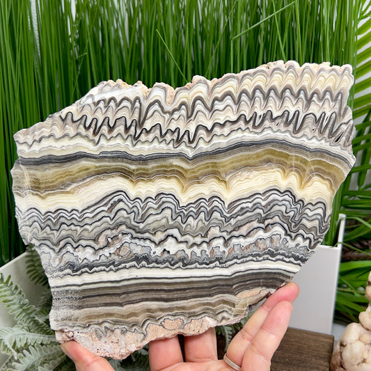 Zebra Phantom Calcite Slice Healing Crystal Specimen Slab 864g