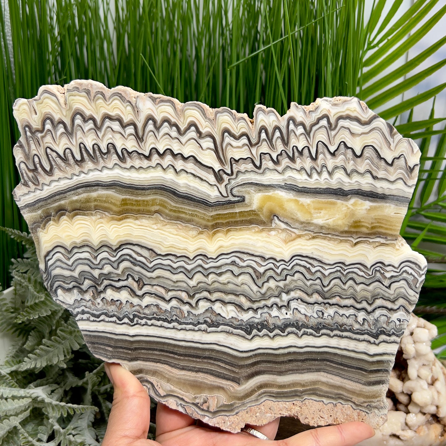 Zebra Phantom Calcite Slice Healing Crystal Specimen Slab 1104g