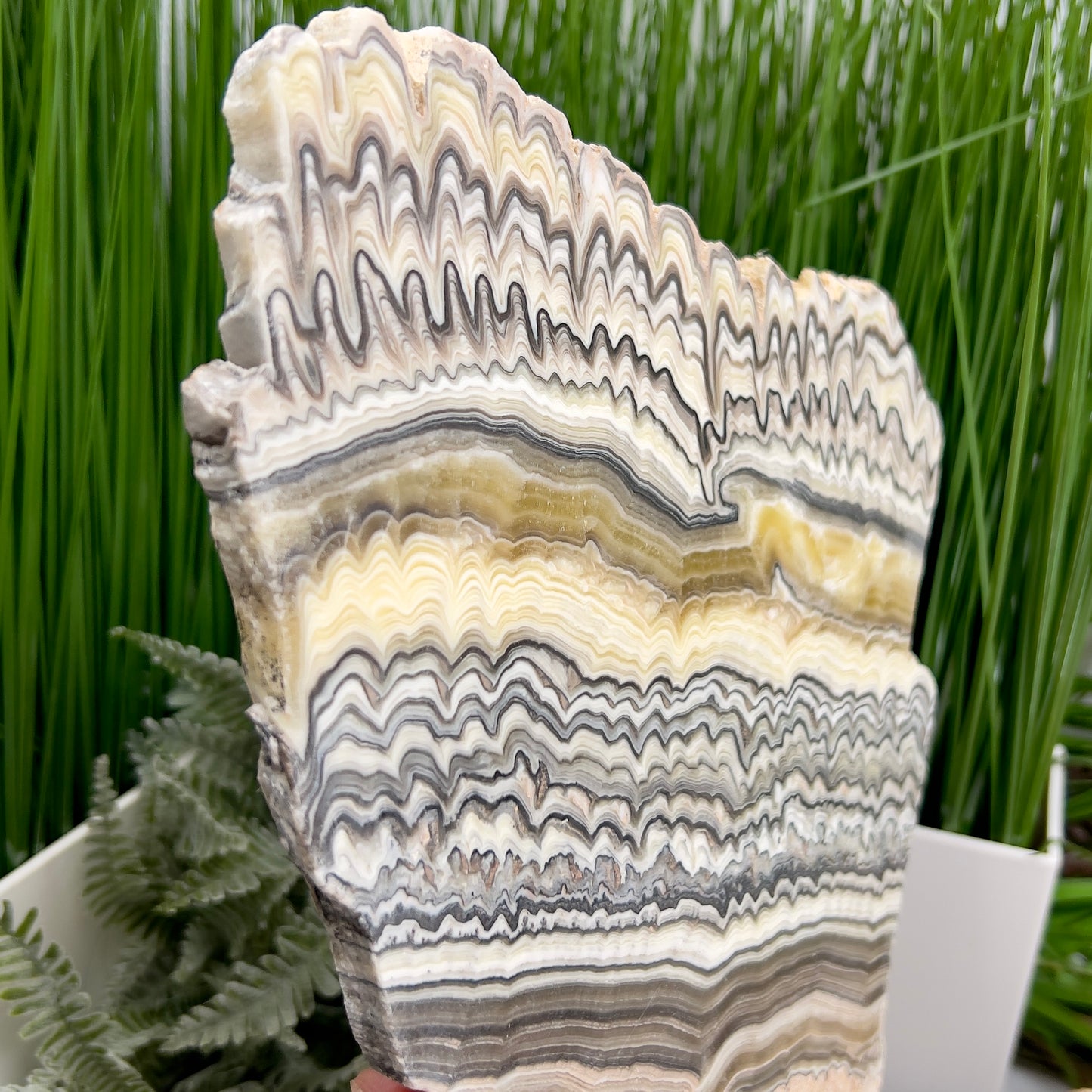 Zebra Phantom Calcite Slice Healing Crystal Specimen Slab 1104g