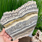 Zebra Phantom Calcite Slice Healing Crystal Specimen Slab 1104g