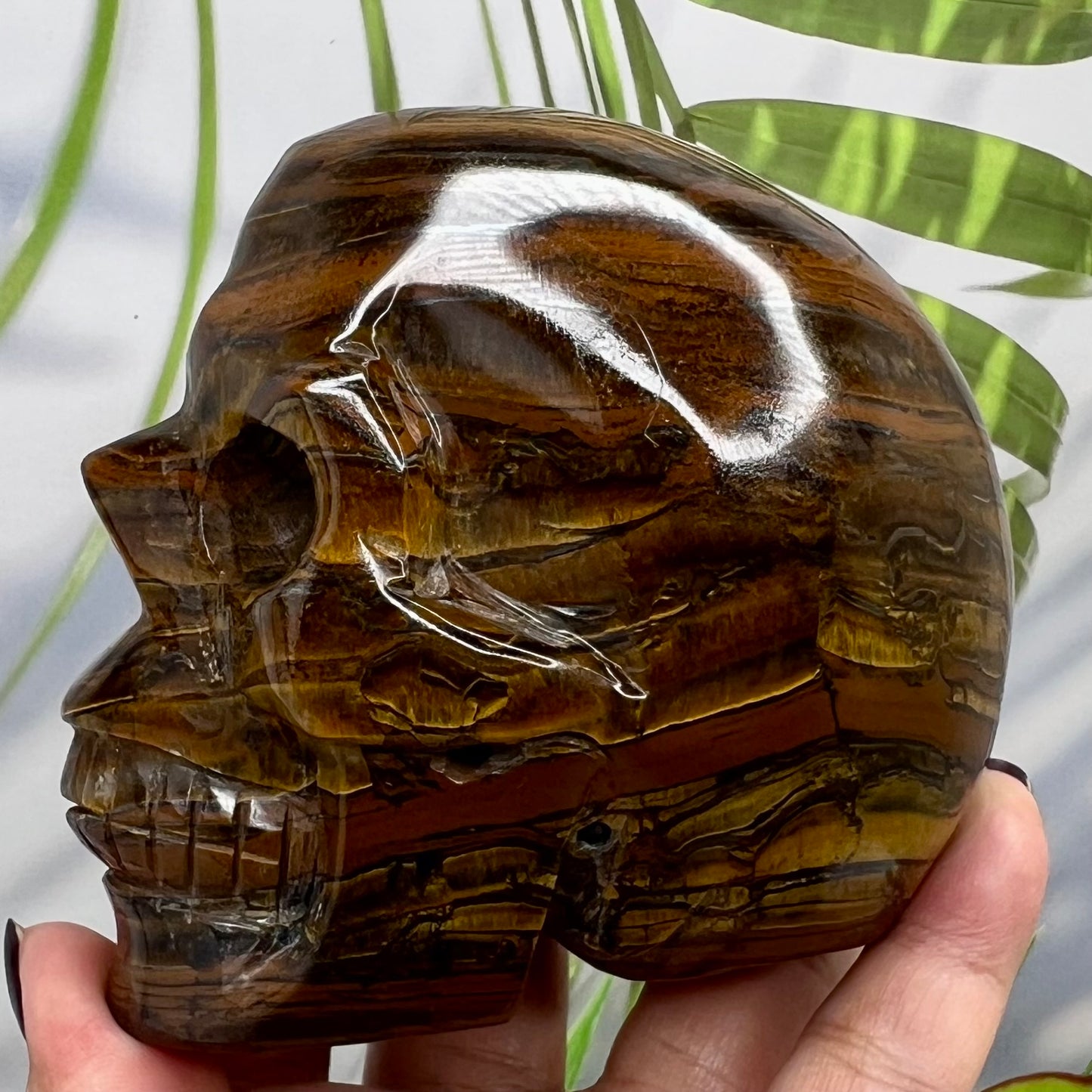 Tiger Iron Red Jasper Hematite Skull Mugglestone Crystal Skull Carving 894g