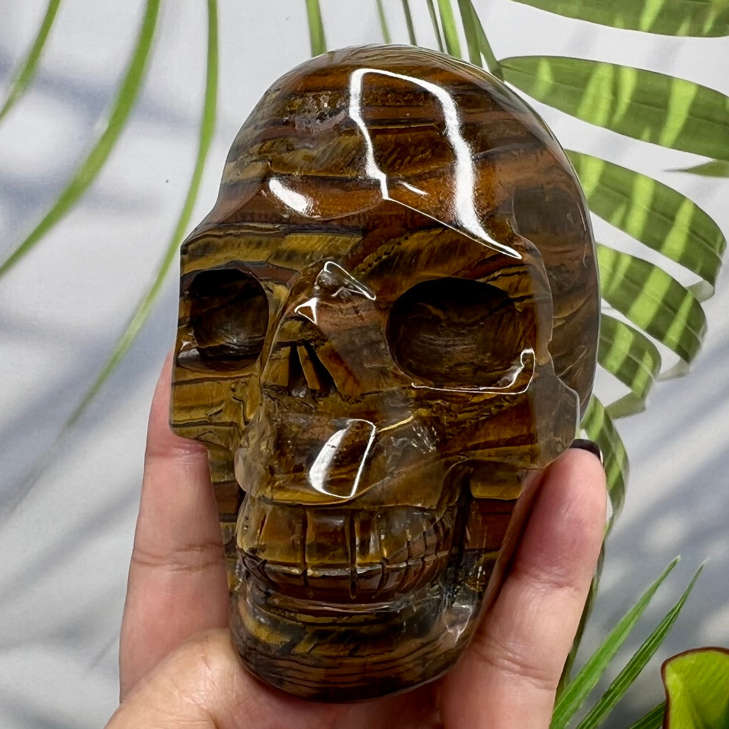 Tiger Iron Red Jasper Hematite Skull Mugglestone Crystal Skull Carving 894g