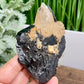 Quartz Cluster in Black Tourmaline Schorl Raw Specimen Natural Crystal 266g