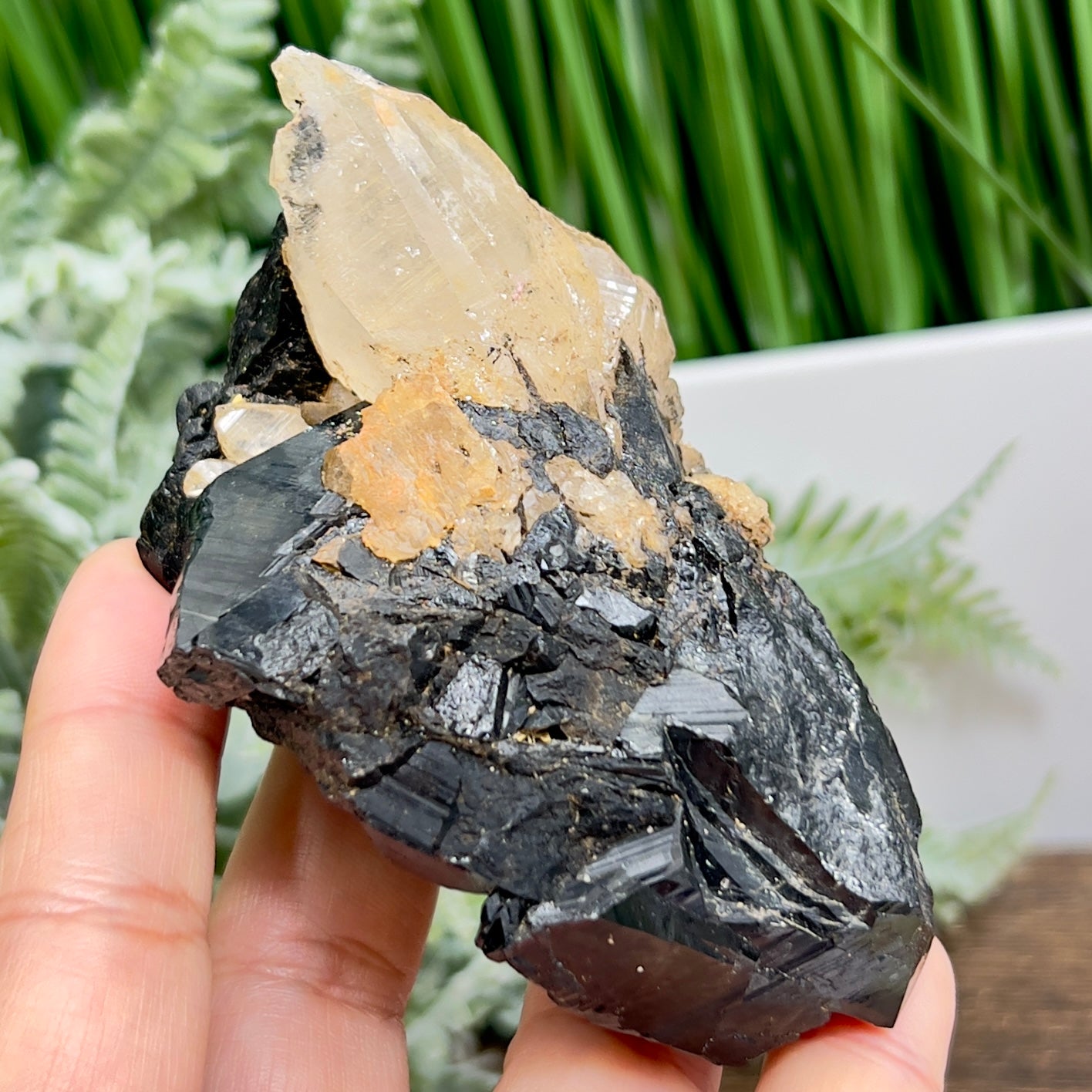 Quartz Cluster in Black Tourmaline Schorl Raw Specimen Natural Crystal 266g