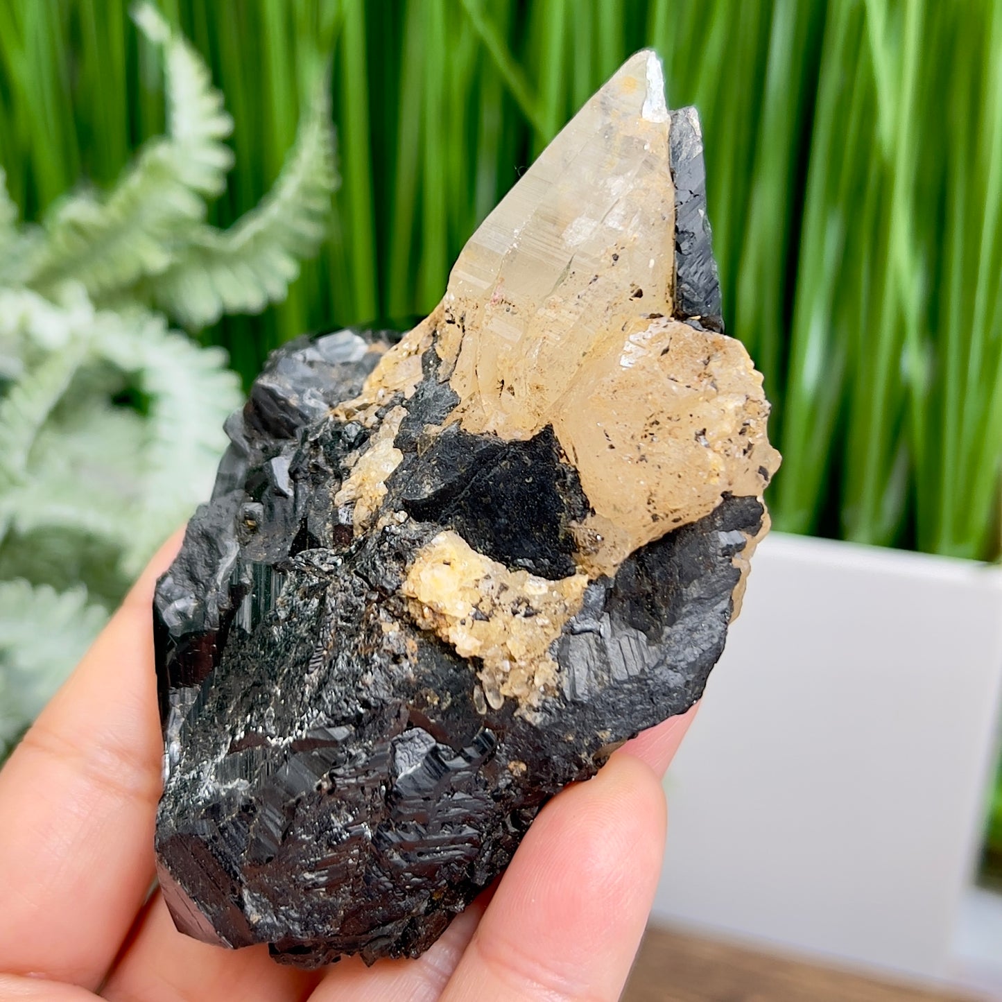 Quartz Cluster in Black Tourmaline Schorl Raw Specimen Natural Crystal 266g