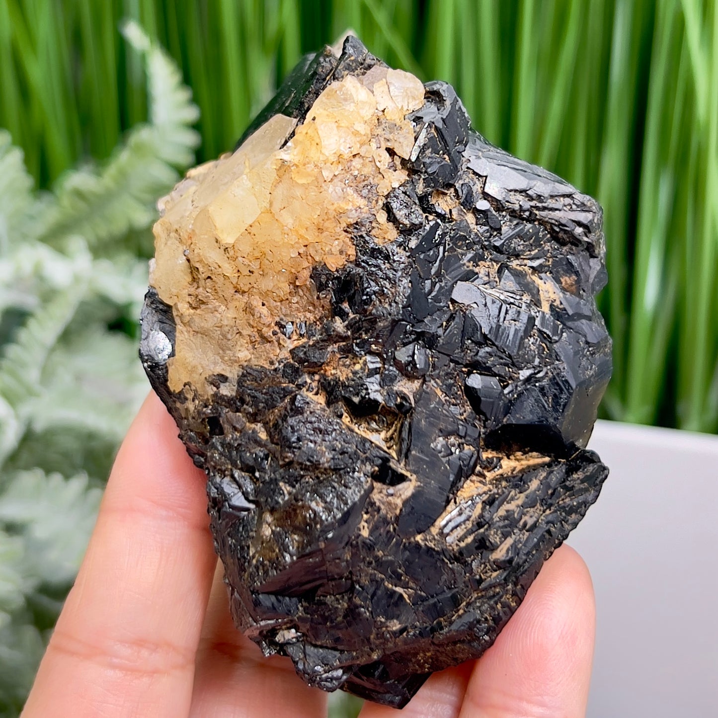 Quartz Cluster in Black Tourmaline Schorl Raw Specimen Natural Crystal 266g