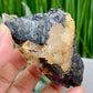 Quartz Cluster in Black Tourmaline Schorl Raw Specimen Natural Crystal 266g