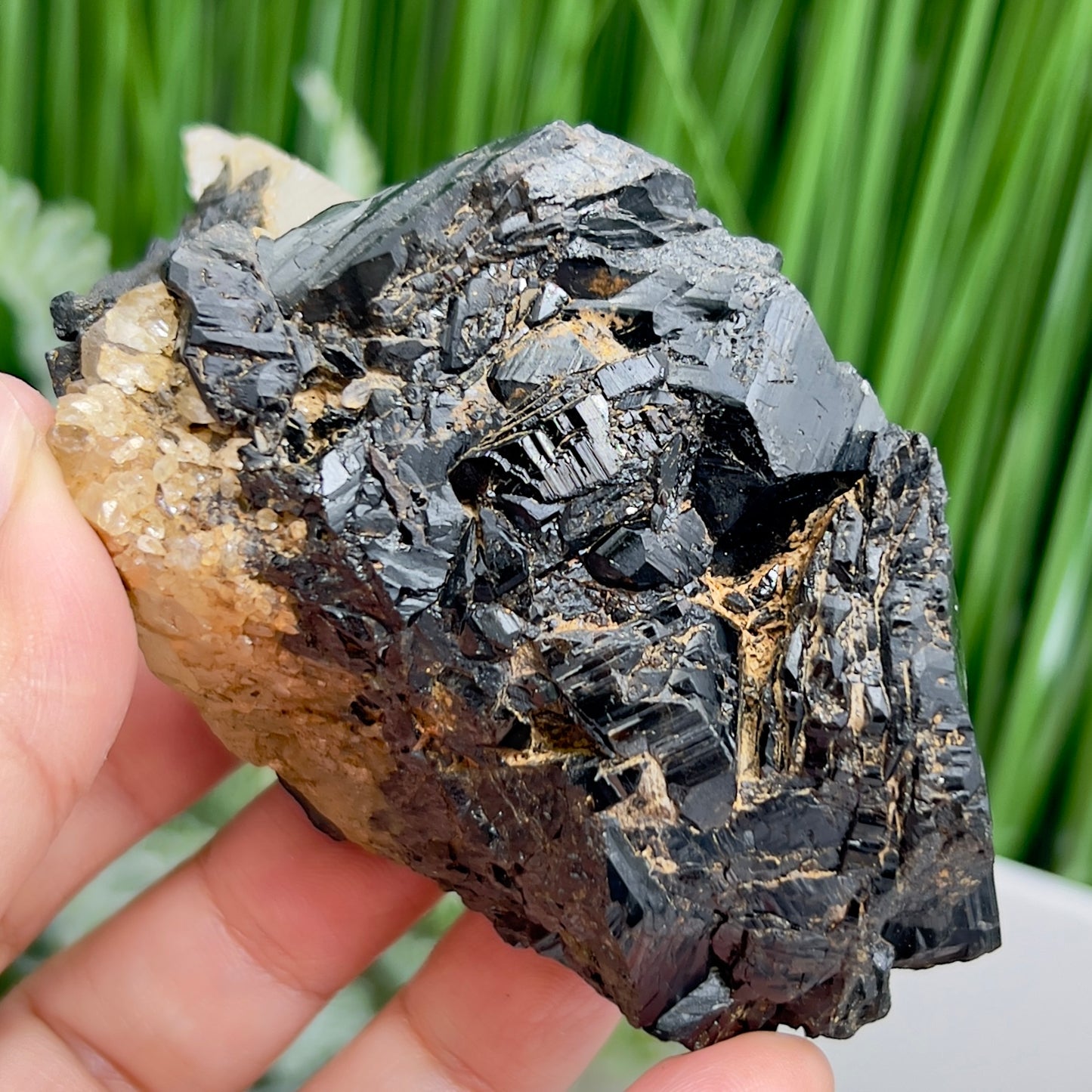 Quartz Cluster in Black Tourmaline Schorl Raw Specimen Natural Crystal 266g