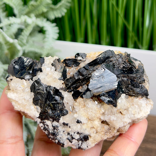 Quartz Cluster in Black Tourmaline Schorl Raw Specimen Natural Crystal 364g