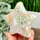 Flower Agate Star Healing Crystal Carving 152g