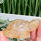 Golden Healer Quartz Turtle Hand Carved Crystal Sea Creature