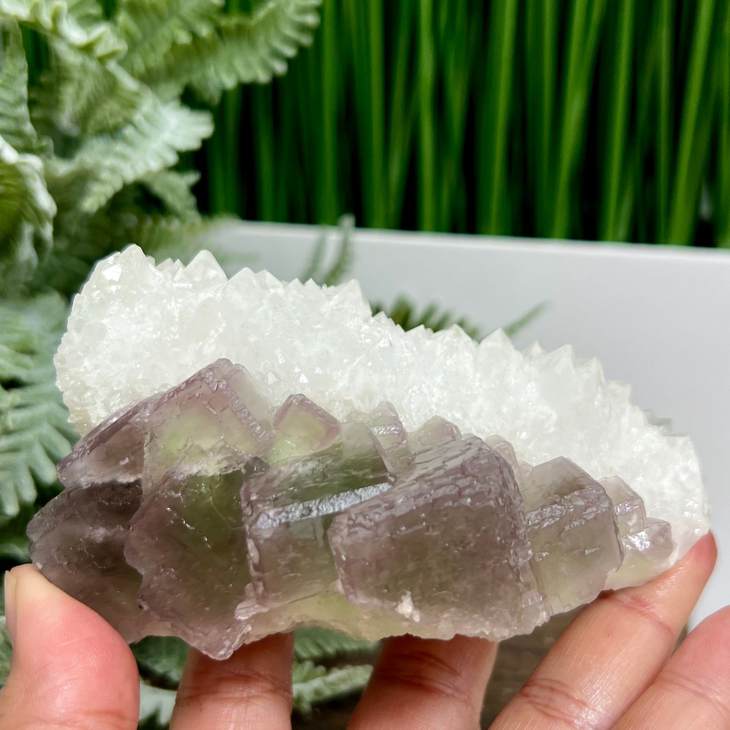 Fluorite Green Purple Quartz Natural Raw Specimen Natural Healing Crystal 430g