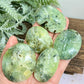 Prehnite with Epidote Palm Stones Worry Meditation Crystals