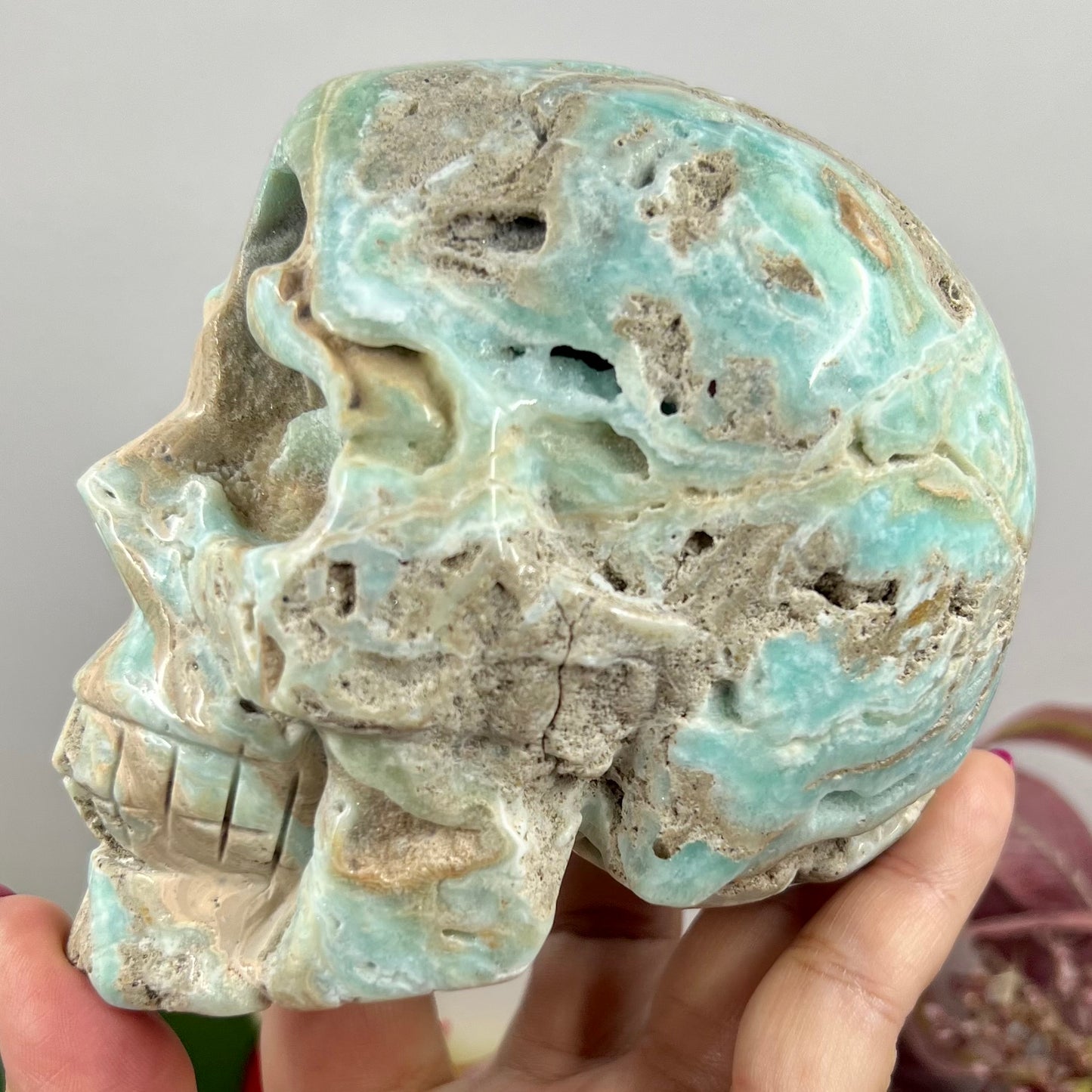 Large Blue Aragonite Skull Crystal Skull Carving