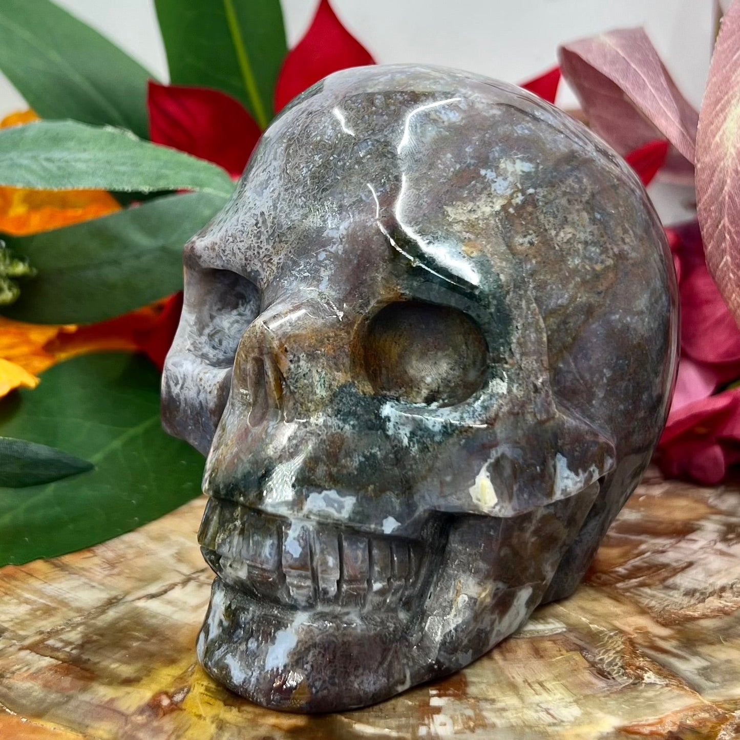 Ocean Sea Jasper Skull Crystal Skull Carving Australian Seller