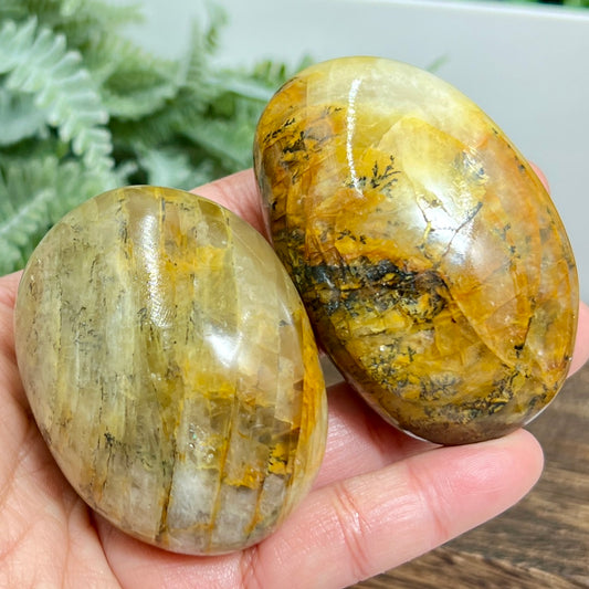 Dendritic Golden Healer Quartz Palm Stones Worry Meditation Crystals