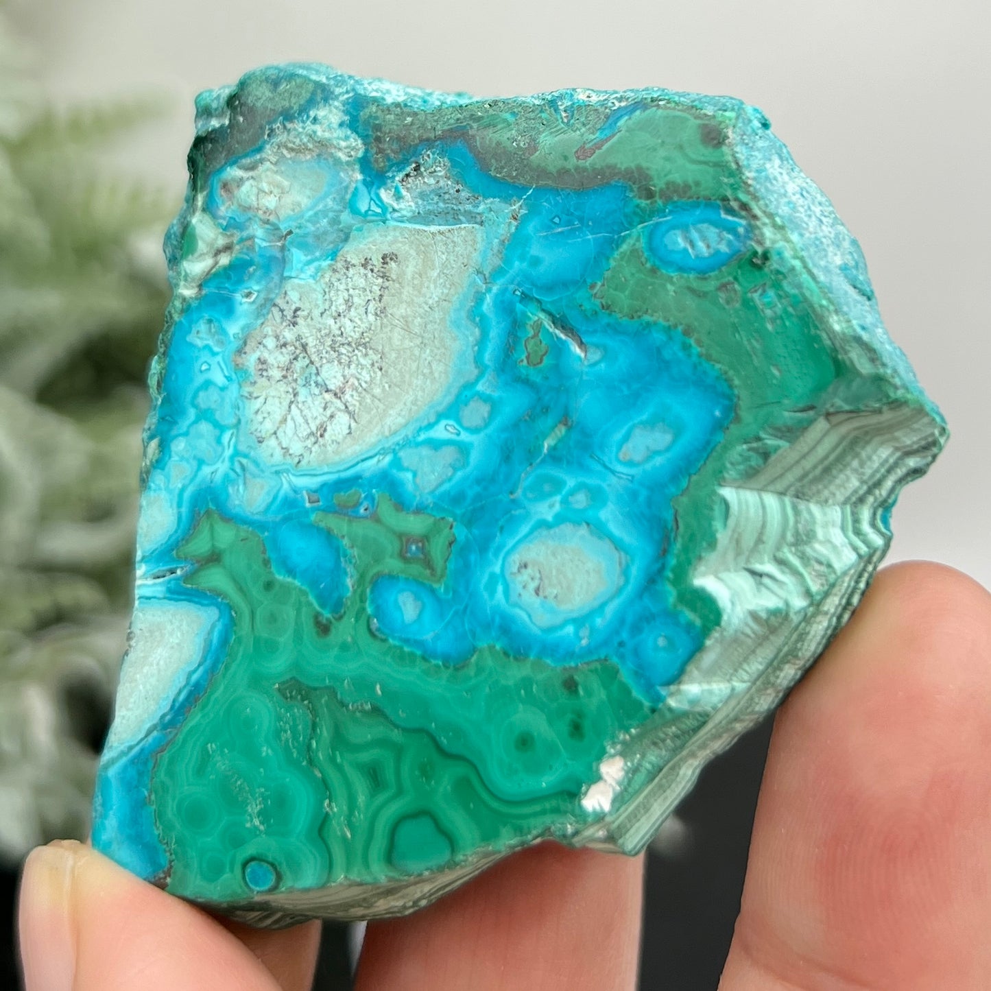 Chrysocolla Malachite Slice Chunk with Stand Crystal Specimen Peru 106g