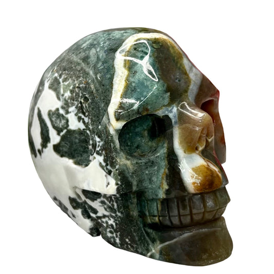 Ocean Sea Jasper Skull Crystal Skull Carving Australian Seller