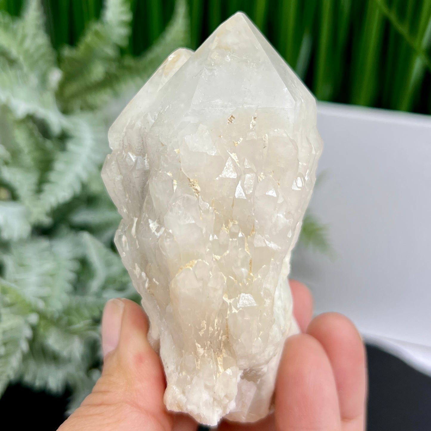 Candle Pineapple Quartz Flower Cluster Crystal Specimen With Stand 214g