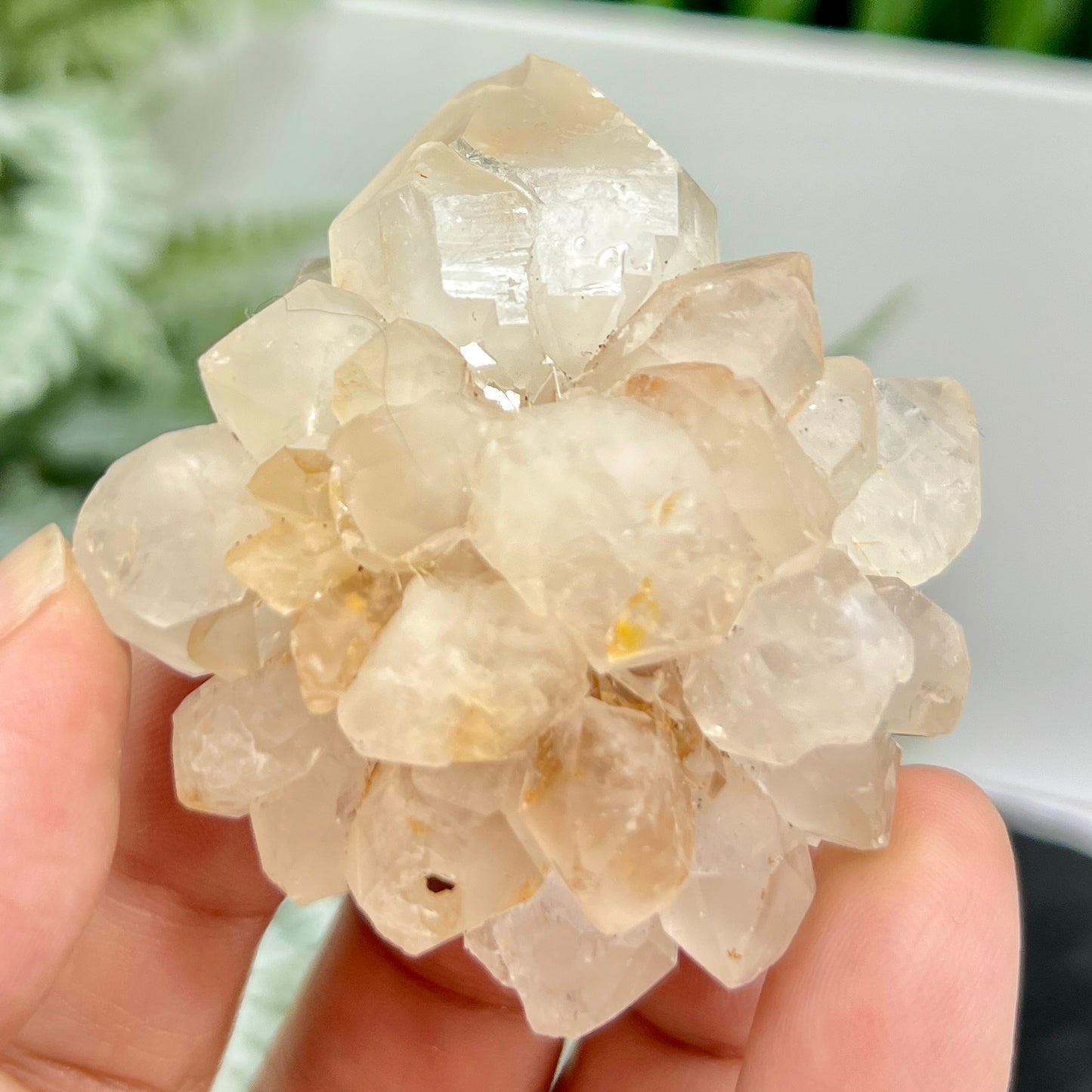 Candle Pineapple Quartz Flower Cluster Natural Crystal Specimen 82g