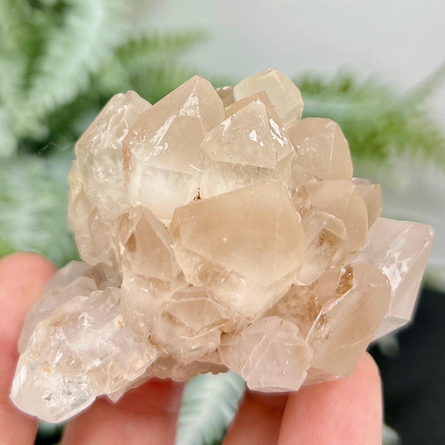 Candle Pineapple Quartz Flower Cluster Natural Crystal Specimen 100g