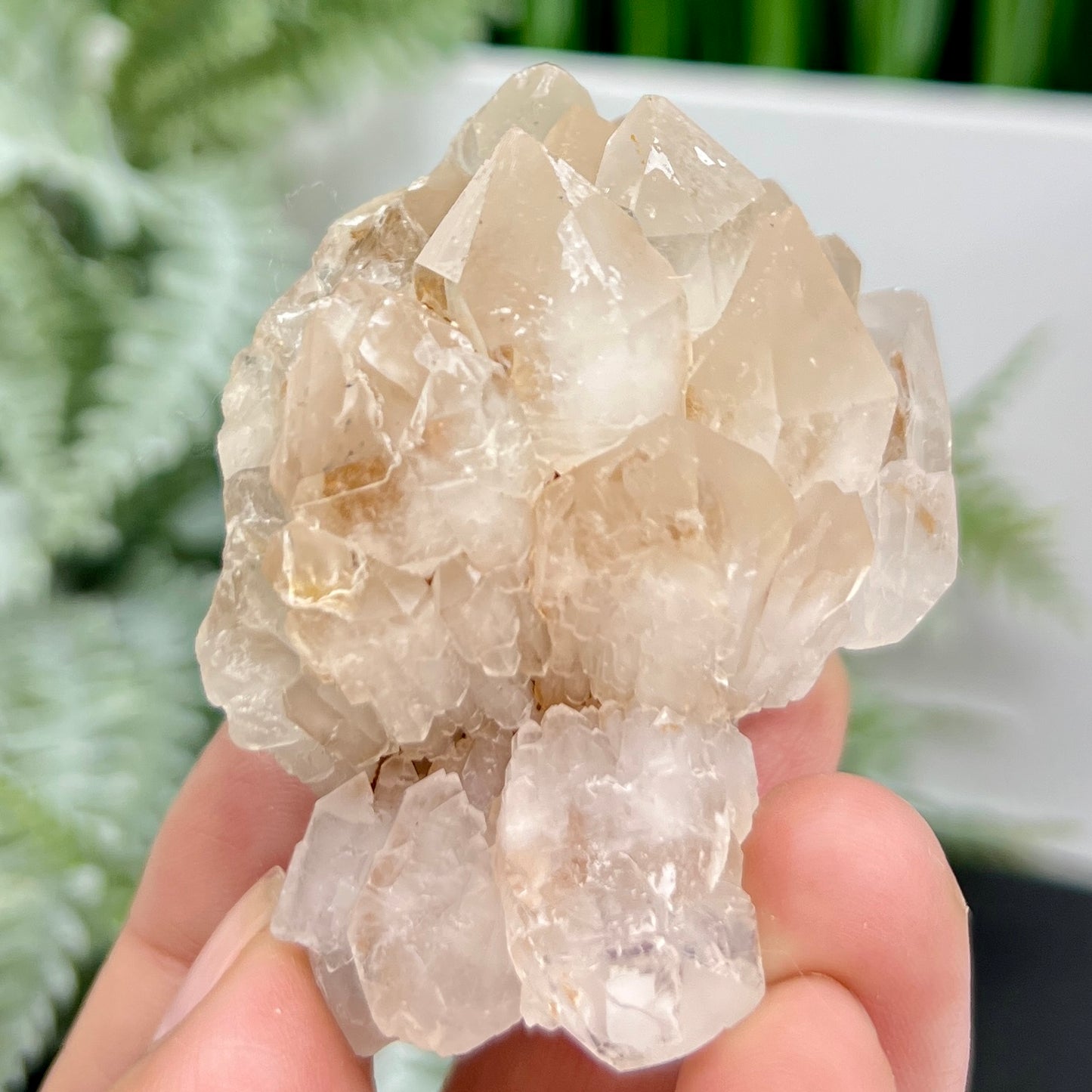 Candle Pineapple Quartz Flower Cluster Natural Crystal Specimen 100g