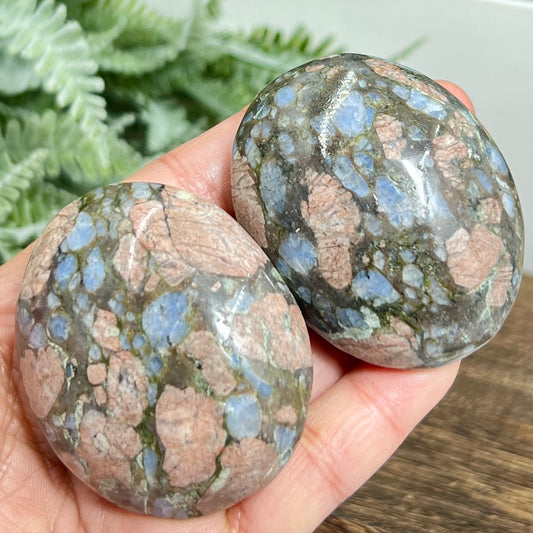 Llanite Jasper Que Sera Palm Stones Worry Meditation Crystals