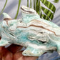 Blue Aragonite Hammerhead Shark Crystal Carving Australian Seller Large