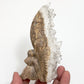 Clear Quartz Angel Fairy Healing Crystal Carving