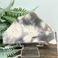 Black Flower Agate Sakura Cherry Blossom Slice with Stand Crystal 208g