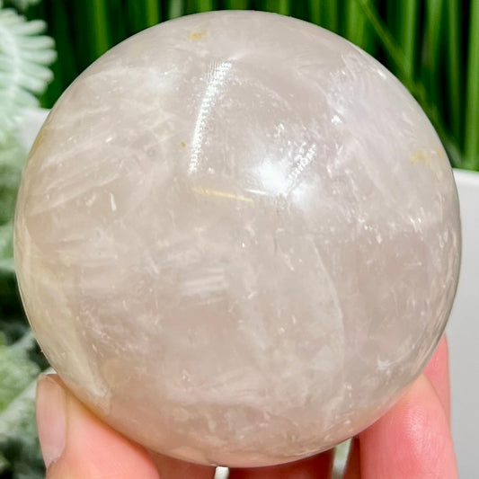 Blue Rose Quartz with Golden Healer Sphere Healing Crystal Ball 470g 70mm