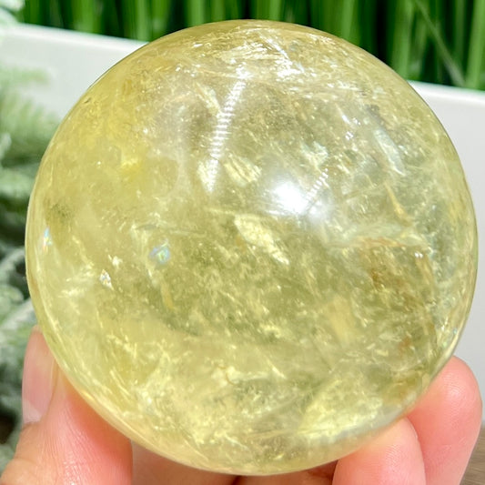 Citrine with Golden Healer Sphere Natural Crystal Ball 396g 66mm