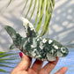 Moss Agate Shark Crystal Carving Ornament Australian Seller