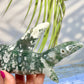 Moss Agate Shark Crystal Carving Ornament Australian Seller