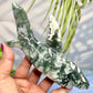 Moss Agate Shark Crystal Carving Ornament Australian Seller